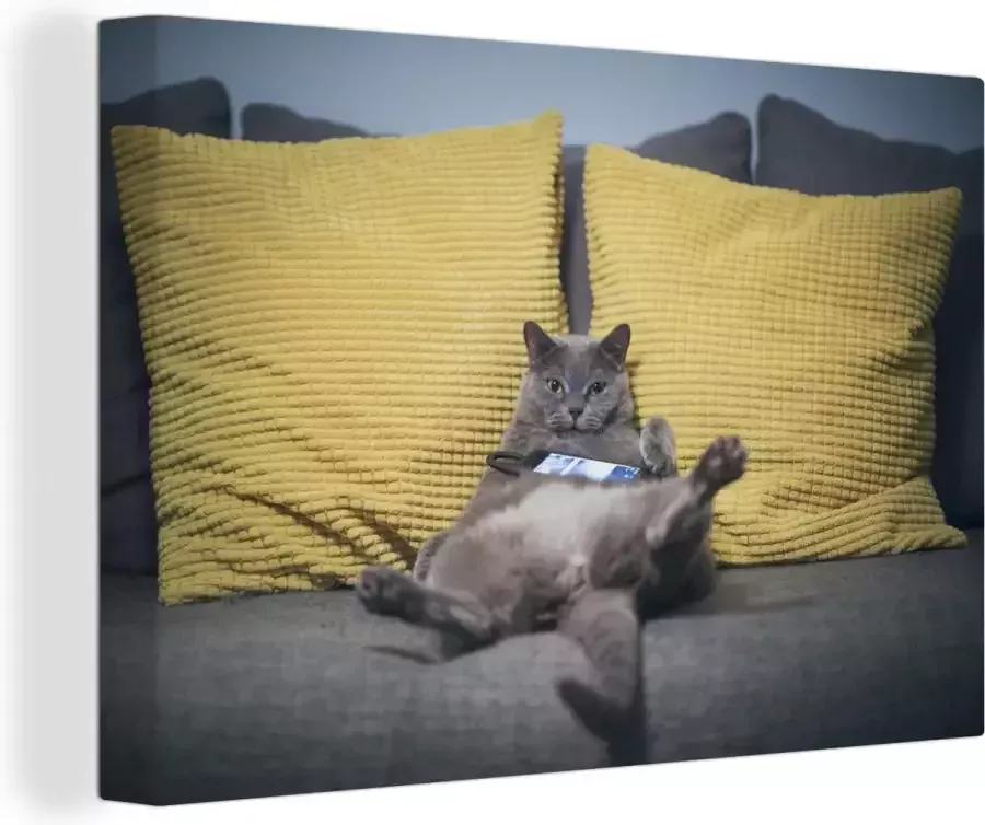 OneMillionCanvasses Canvas Schilderij Kat Bank Lui 60x40 cm Wanddecoratie