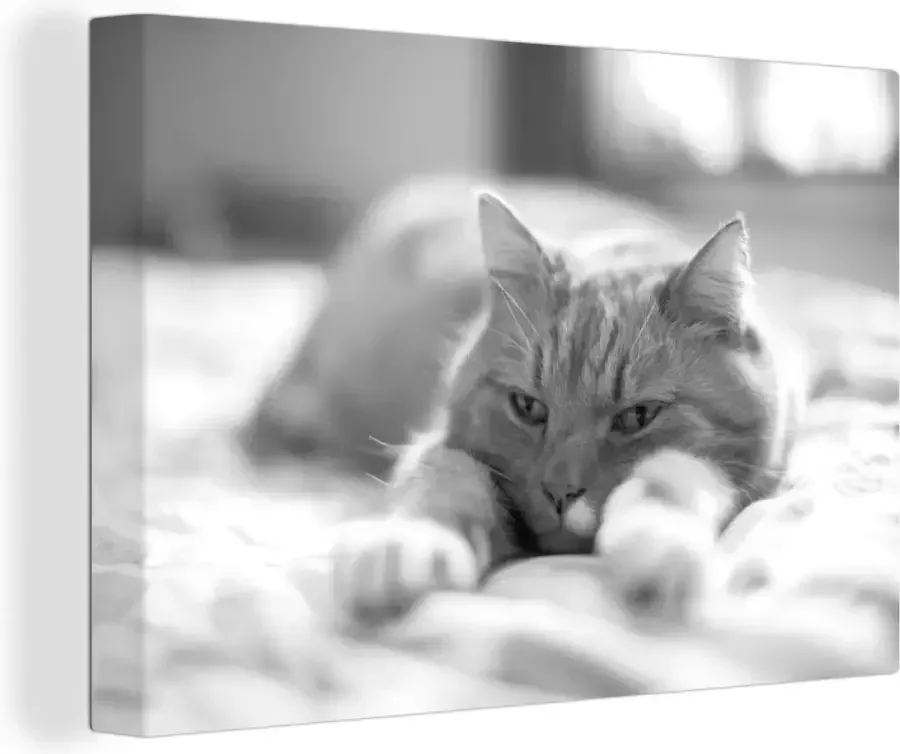 Canvas schilderij 30x20 cm Wanddecoratie Kat Bed Bedsprei Meisjes Kinderen Jongens Kind Muurdecoratie woonkamer Slaapkamer decoratie Kamer accessoires Schilderijen op canvas