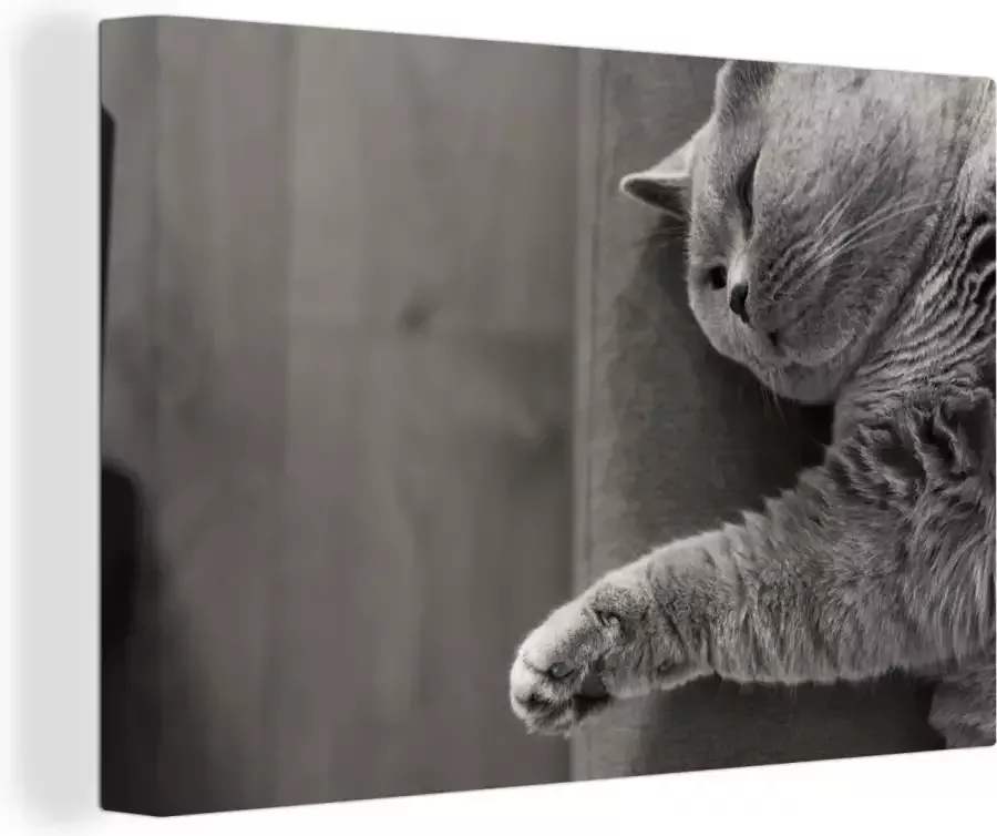 Canvas schilderij 120x80 cm Wanddecoratie Kat die op de bank ligt Muurdecoratie woonkamer Slaapkamer decoratie Kamer accessoires Schilderijen op canvas