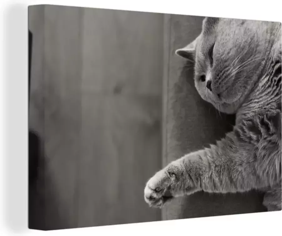 OneMillionCanvasses Canvas schilderij 180x120 cm Wanddecoratie Kat die op de bank ligt Muurdecoratie woonkamer Slaapkamer decoratie Kamer accessoires Schilderijen
