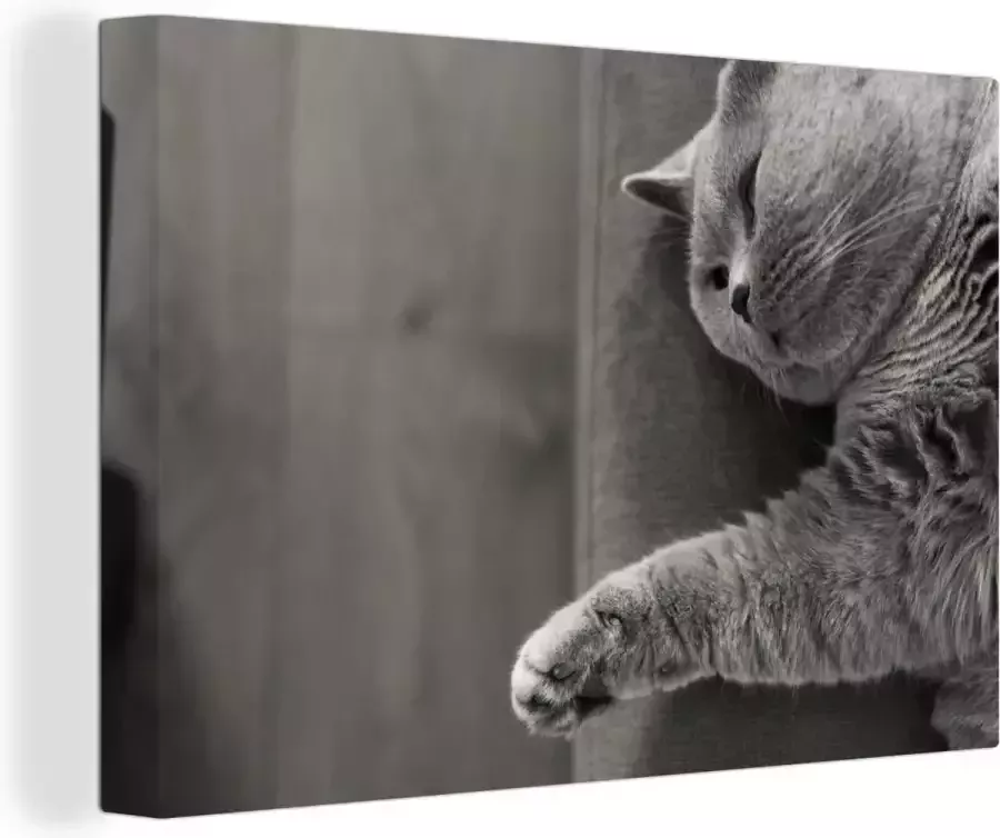 OneMillionCanvasses Canvas Schilderij Kat die op de bank ligt 90x60 cm Wanddecoratie