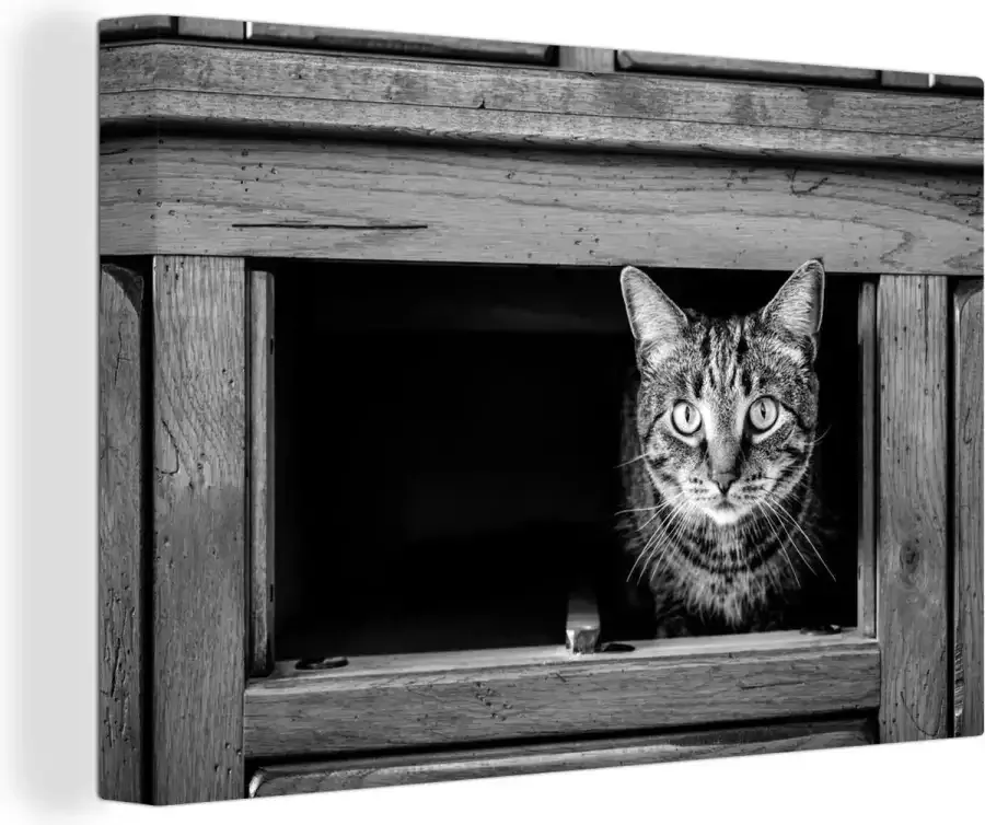 OneMillionCanvasses Canvas Schilderij Kat die uit een kast komt 60x40 cm Wanddecoratie