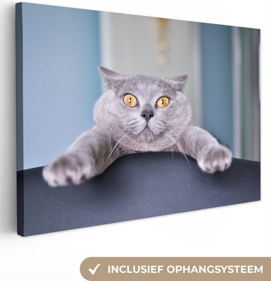 OneMillionCanvasses Canvas schilderij 140x90 cm Wanddecoratie Kat Grijs Stoel Muurdecoratie woonkamer Slaapkamer decoratie Kamer accessoires Schilderijen