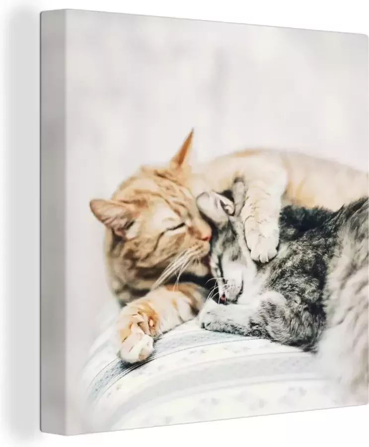 OneMillionCanvasses Canvas Schilderij Kat Knuffelen Stoel 20x20 cm Wanddecoratie