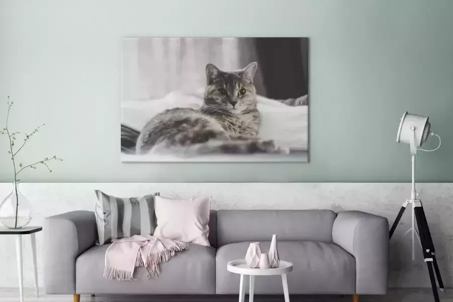 OneMillionCanvasses Canvas Schilderij Kat Lakens Bed 120x80 cm Wanddecoratie