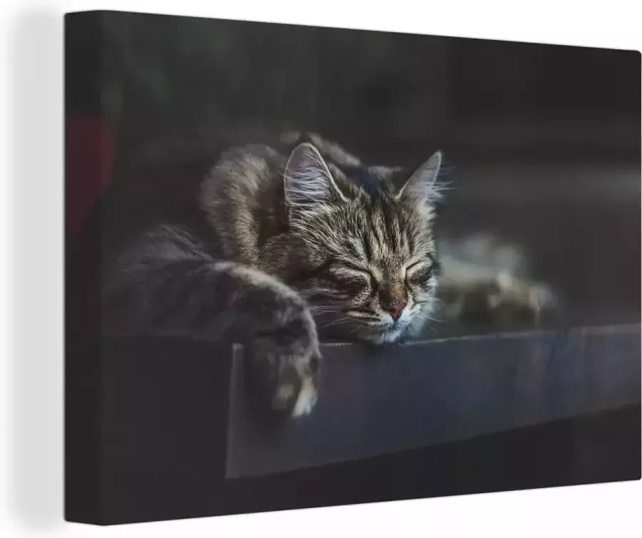 OneMillionCanvasses Canvas Schilderij Kat ligt op een zwarte tafel te slapen 120x80 cm Wanddecoratie