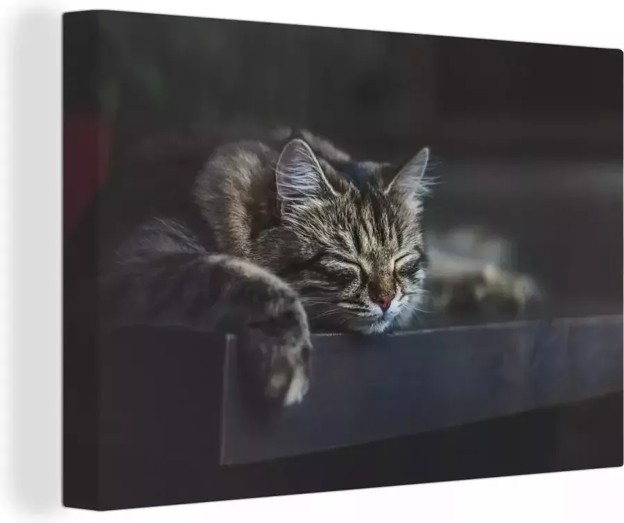OneMillionCanvasses Canvas schilderij 150x100 cm Wanddecoratie Kat ligt op een zwarte tafel te slapen Muurdecoratie woonkamer Slaapkamer decoratie Kamer accessoires Schilderijen