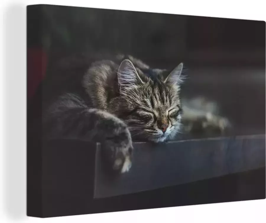 OneMillionCanvasses Canvas Schilderij Kat ligt op een zwarte tafel te slapen 60x40 cm Wanddecoratie