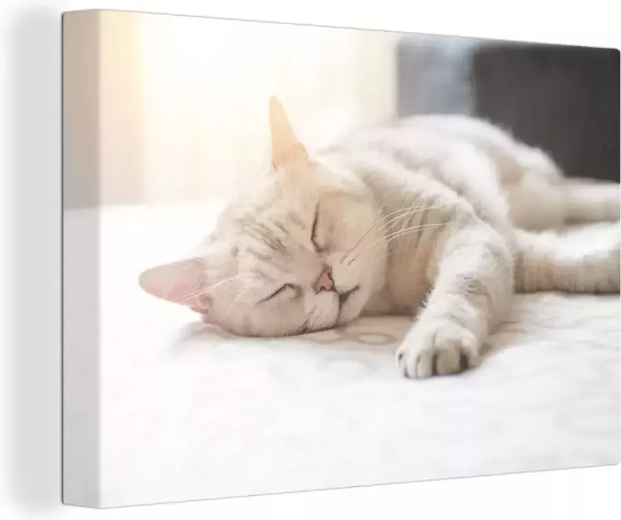 OneMillionCanvasses Canvas schilderij 140x90 cm Wanddecoratie Kat slaapt op bed Muurdecoratie woonkamer Slaapkamer decoratie Kamer accessoires Schilderijen