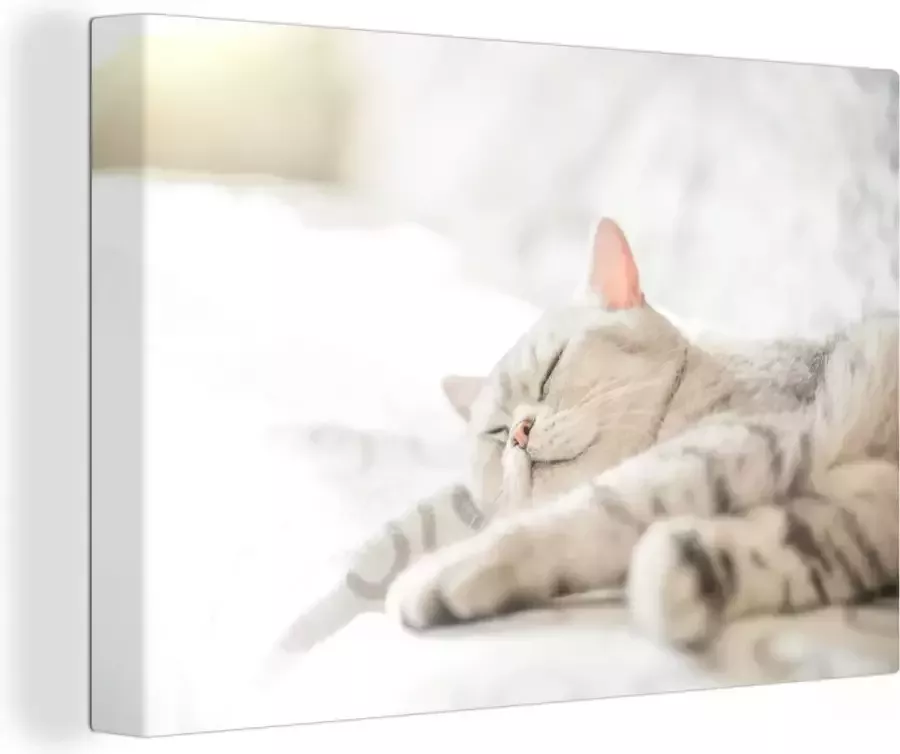 OneMillionCanvasses Canvas schilderij 140x90 cm Wanddecoratie Kat slaapt op de bank Muurdecoratie woonkamer Slaapkamer decoratie Kamer accessoires Schilderijen