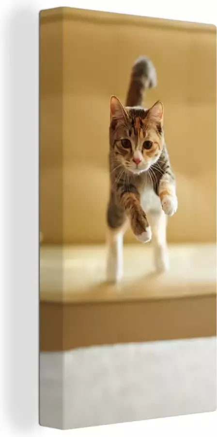 OneMillionCanvasses Canvas schilderij 80x160 cm Wanddecoratie Kat Spring Stoel Muurdecoratie woonkamer Slaapkamer decoratie Kamer accessoires Schilderijen