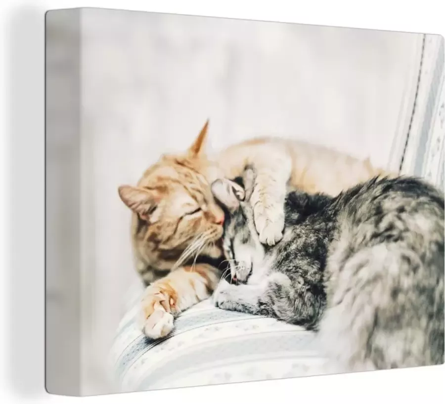 OneMillionCanvasses Canvas Schilderij Katten Bank Woonkamer 120x90 cm Wanddecoratie