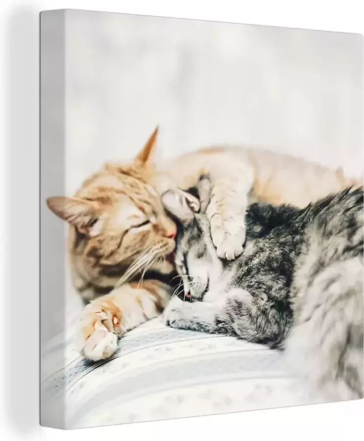 OneMillionCanvasses Canvas Schilderij Katten Bank Woonkamer 20x20 cm Wanddecoratie