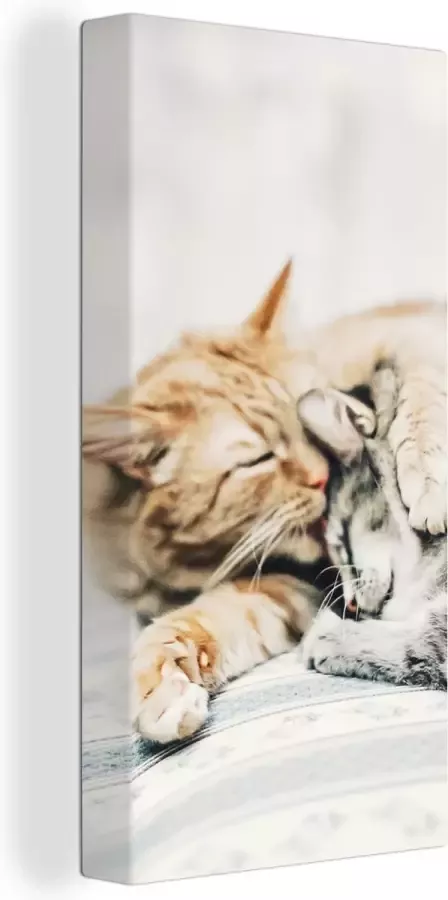 OneMillionCanvasses Canvas Schilderij Katten Bank Woonkamer 20x40 cm Wanddecoratie