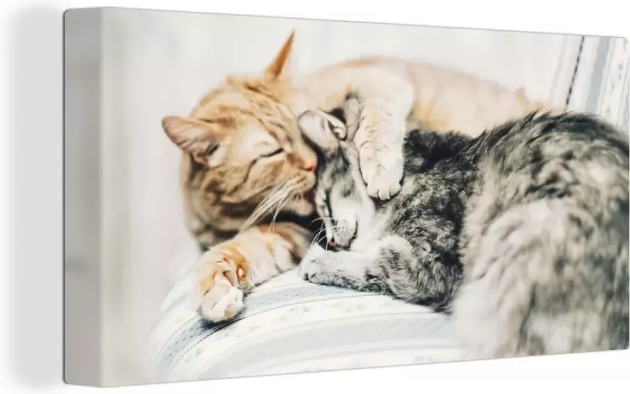 OneMillionCanvasses Canvas Schilderij Katten Bank Woonkamer 40x20 cm Wanddecoratie