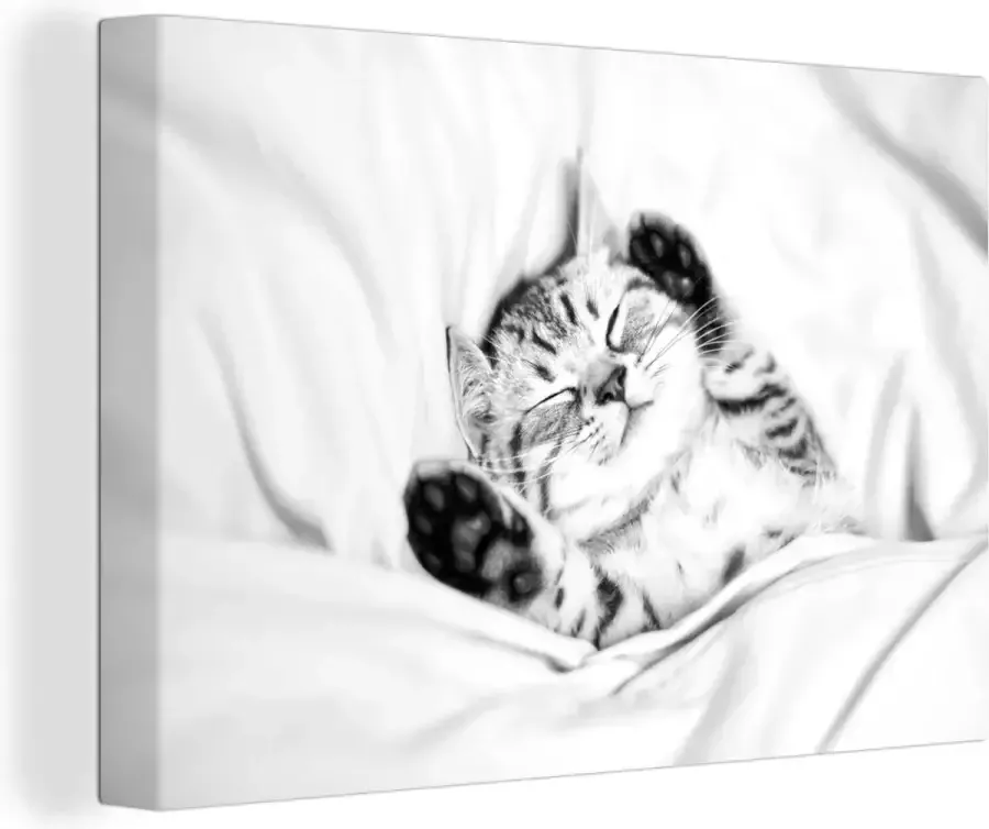 OneMillionCanvasses Canvas Schilderij Kitten Bed Poten Meisjes Kinderen Jongens Kind 120x80 cm Wanddecoratie