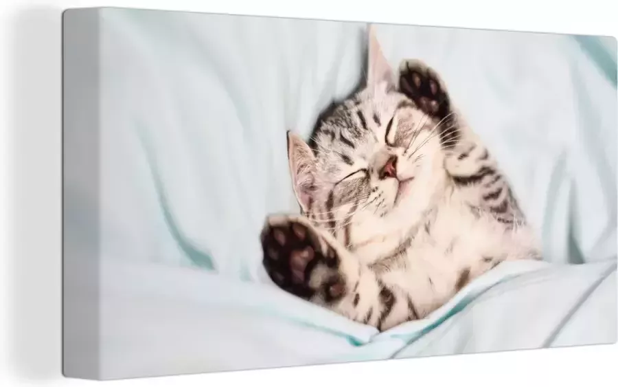 OneMillionCanvasses Canvas Schilderij Kitten Bed Poten Meisjes Kinderen Jongens Kind 40x20 cm Wanddecoratie