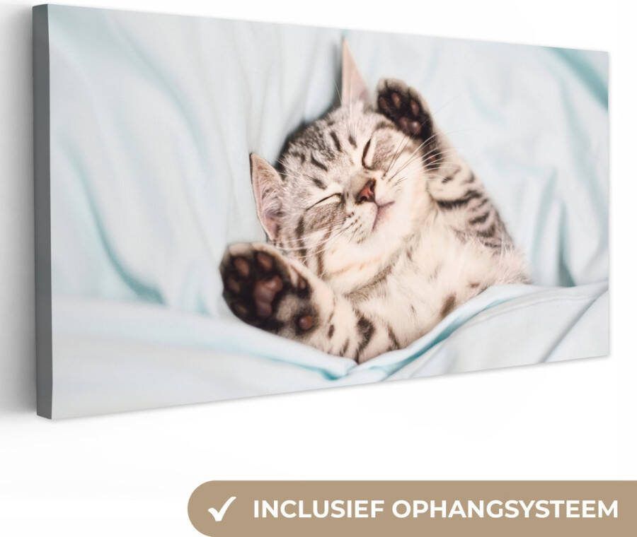 OneMillionCanvasses Canvas schilderij 160x80 cm Wanddecoratie Kitten Grappig Bed Kinderen Jongens Meisjes Kids Muurdecoratie woonkamer Slaapkamer decoratie Kamer accessoires Schilderijen
