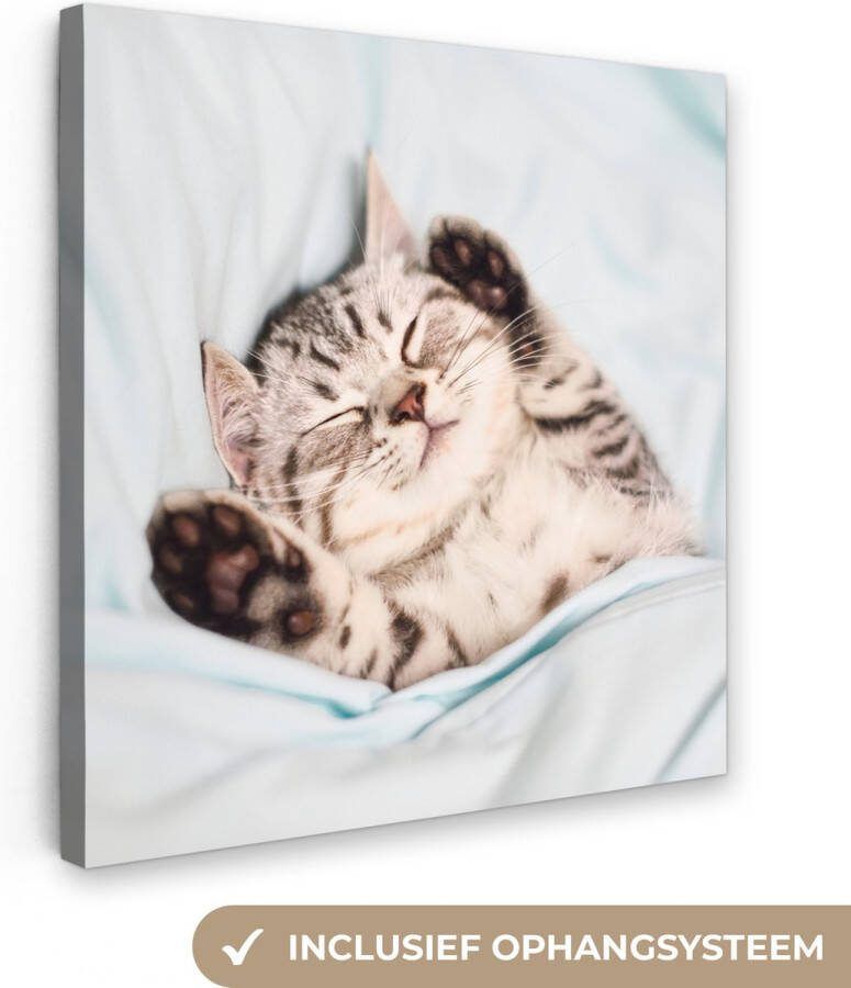 OneMillionCanvasses Canvas Schilderij Kitten Grappig Bed Kinderen Jongens Meisjes Kids 20x20 cm Wanddecoratie