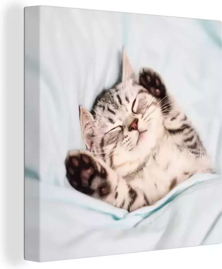 OneMillionCanvasses Canvas Schilderij Kitten Grappig Bed Kinderen Jongens Meisjes Kids 20x20 cm Wanddecoratie - Foto 2
