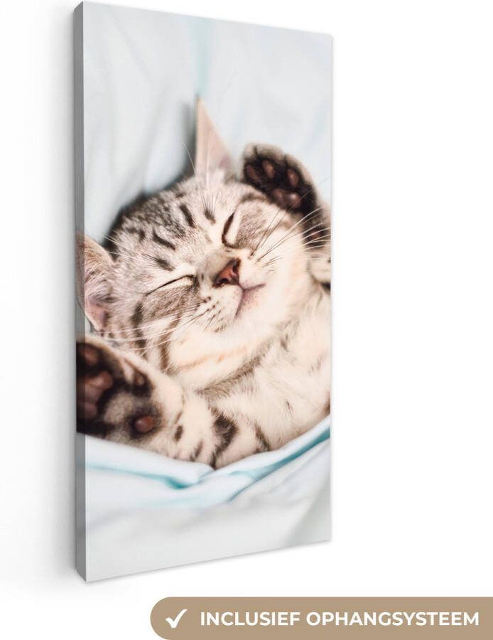 Canvas schilderij 20x40 cm Wanddecoratie Kitten Grappig Bed Kinderen Jongens Meisjes Kids Muurdecoratie woonkamer Slaapkamer decoratie Kamer accessoires Schilderijen op canvas - Foto 2