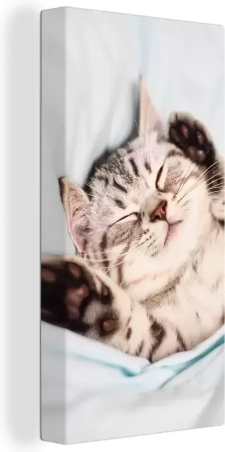 Canvas schilderij 20x40 cm Wanddecoratie Kitten Grappig Bed Kinderen Jongens Meisjes Kids Muurdecoratie woonkamer Slaapkamer decoratie Kamer accessoires Schilderijen op canvas