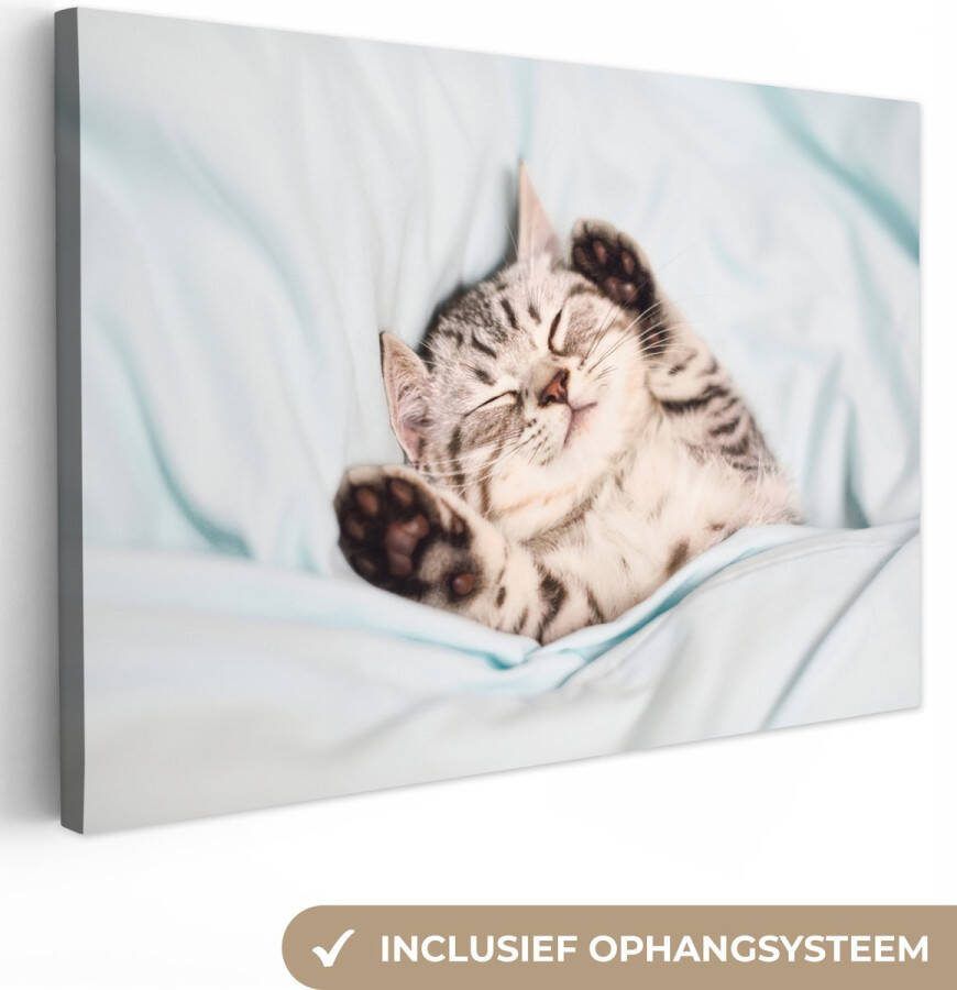 OneMillionCanvasses Canvas Schilderij Kitten Grappig Bed Kinderen Jongens Meisjes Kids 30x20 cm Wanddecoratie