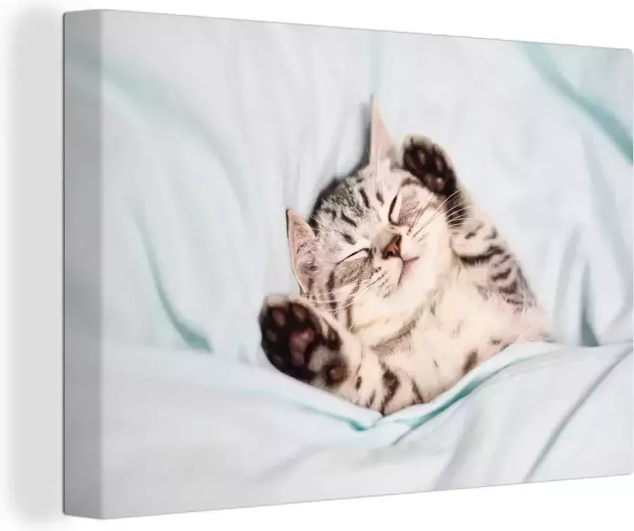 OneMillionCanvasses Canvas Schilderij Kitten Grappig Bed Kinderen Jongens Meisjes Kids 30x20 cm Wanddecoratie - Foto 2