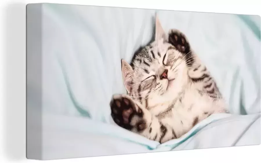 OneMillionCanvasses Canvas Schilderij Kitten Grappig Bed Kinderen Jongens Meisjes Kids 40x20 cm Wanddecoratie - Foto 2