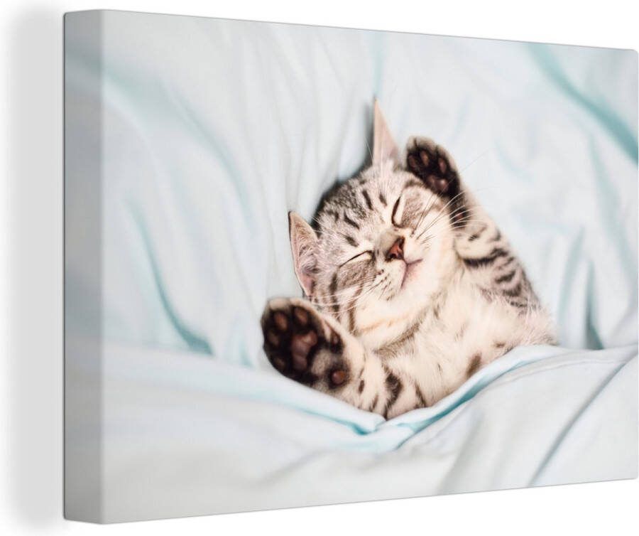 OneMillionCanvasses Canvas schilderij 180x120 cm Wanddecoratie Kitten Slaap Bed Muurdecoratie woonkamer Slaapkamer decoratie Kamer accessoires Schilderijen