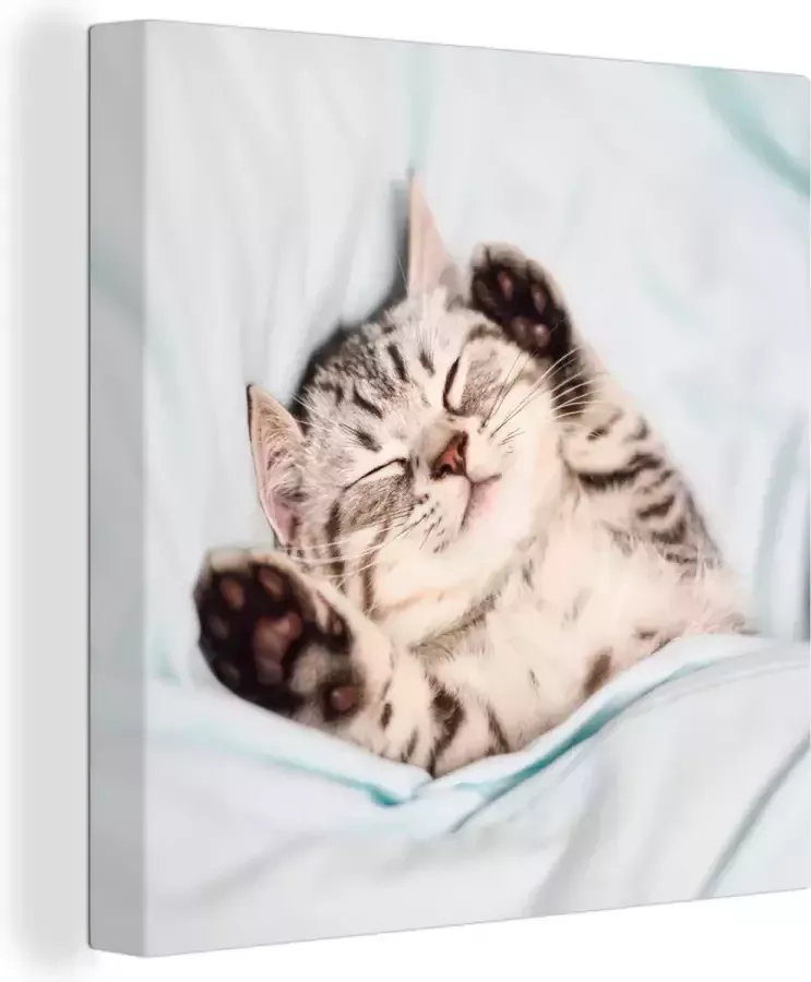 OneMillionCanvasses Canvas Schilderij Kitten Slaap Bed 20x20 cm Wanddecoratie