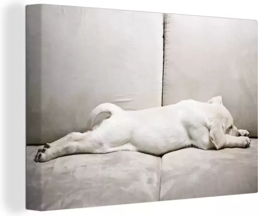 OneMillionCanvasses Canvas Schilderij Labrador puppy op bank 120x80 cm Wanddecoratie