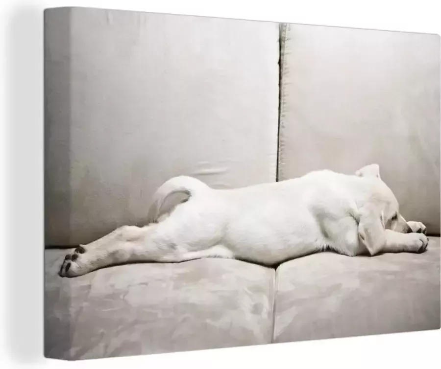 OneMillionCanvasses Canvas schilderij 150x100 cm Wanddecoratie Labrador puppy op bank Muurdecoratie woonkamer Slaapkamer decoratie Kamer accessoires Schilderijen