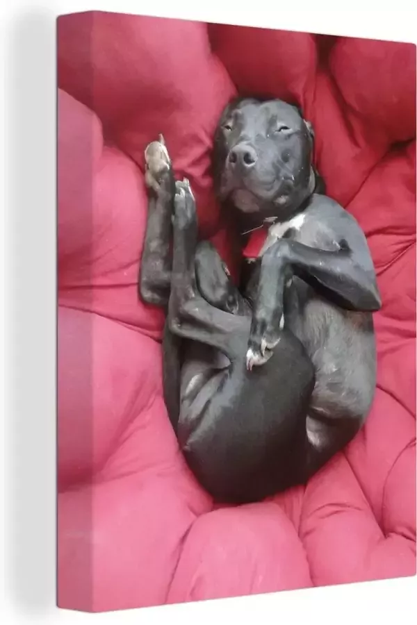 Canvas schilderij 90x120 cm Wanddecoratie Pitbull in een rode loungestoel Muurdecoratie woonkamer Slaapkamer decoratie Kamer accessoires Schilderijen op canvas