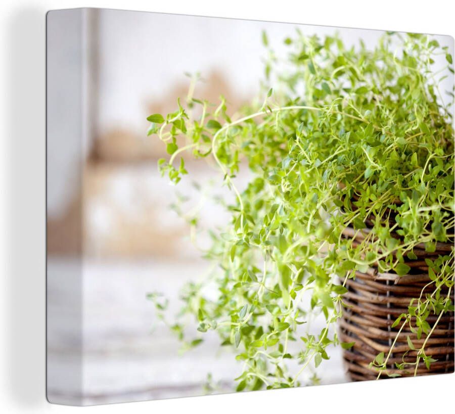 OneMillionCanvasses Canvas Schilderij Rieten mand met de lichtgroene tijm planten op een rustieke tafel 80x60 cm Wanddecoratie