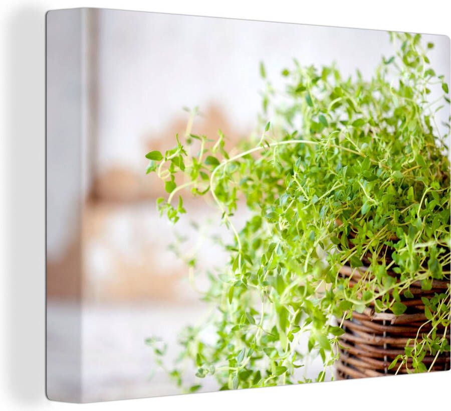 OneMillionCanvasses Canvas Schilderij Rieten mand met de lichtgroene tijm planten op een rustieke tafel 160x120 cm Wanddecoratie XXL