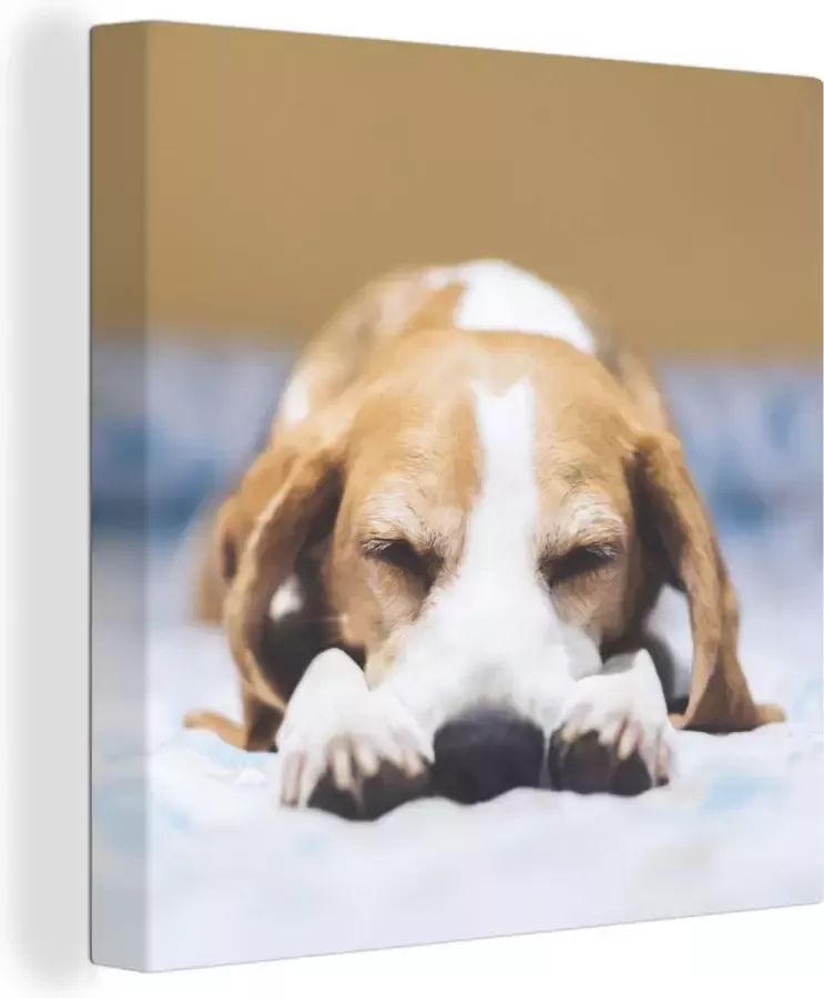 OneMillionCanvasses Canvas Schilderij Slapende beagle puppy op een bed 20x20 cm Wanddecoratie