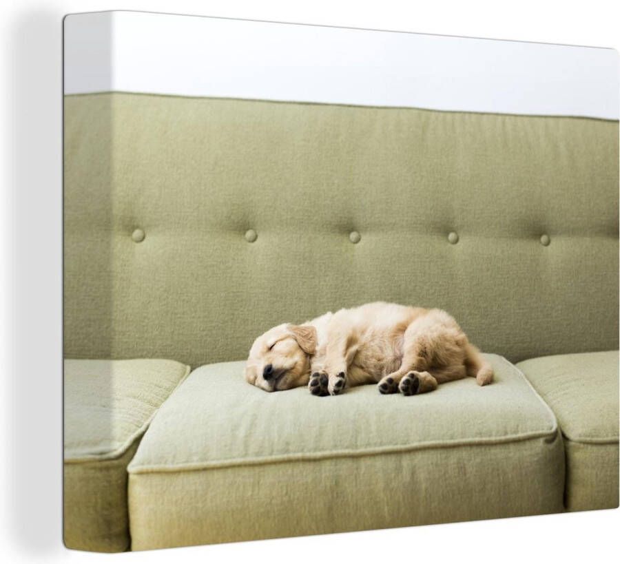 OneMillionCanvasses Canvas Schilderij Slapende puppy op de bank 80x60 cm Wanddecoratie