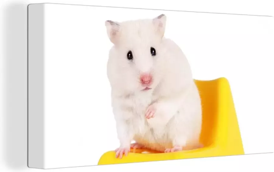 OneMillionCanvasses Canvas Schilderij Witte hamster op een gele stoel 160x80 cm Wanddecoratie