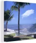 OneMillionCanvasses Canvas Schilderij Zee Hangmat Palmboom 90x90 cm Wanddecoratie - Thumbnail 1