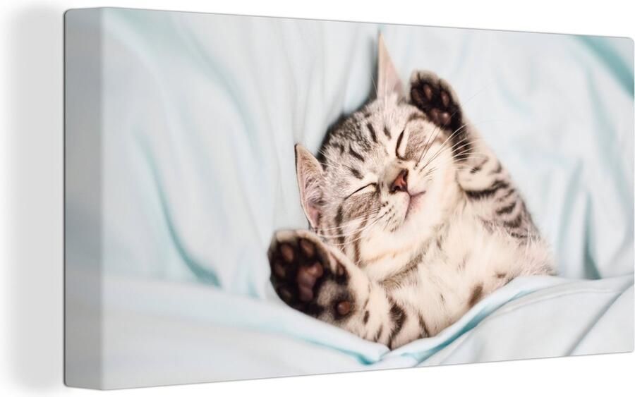 OneMillionCanvasses Canvas schilderij 160x80 cm Wanddecoratie Kitten Grappig Bed Kinderen Jongens Meisjes Kids Muurdecoratie woonkamer Slaapkamer decoratie Kamer accessoires Schilderijen - Foto 2