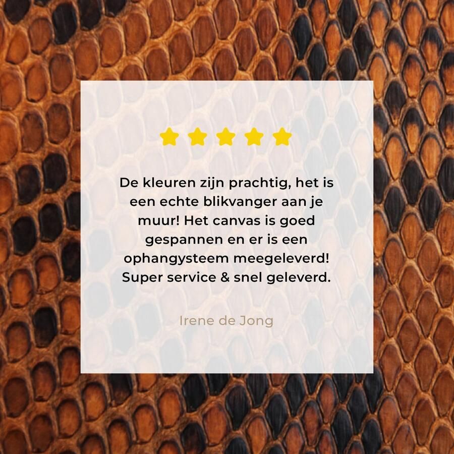 OneMillionCanvasses Canvas Schilderij Inductie beschermer Leer Oranje Dierenhuid 50x50 cm Wanddecoratie - Foto 2