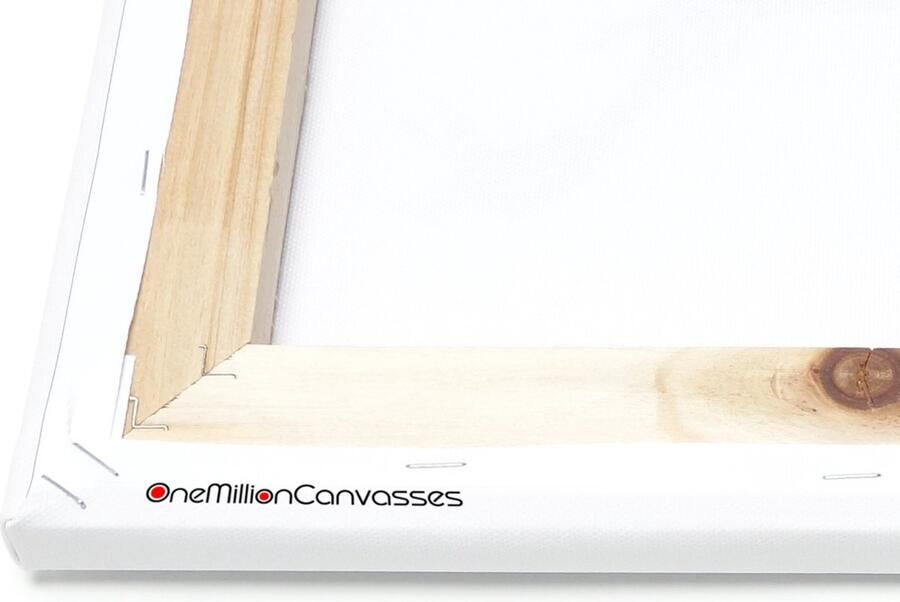 OneMillionCanvasses Canvas Schilderij Inductie beschermer Leer Bruin Dierenhuid 120x80 cm Wanddecoratie