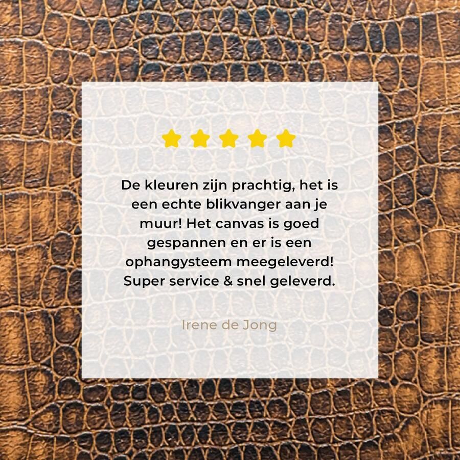 OneMillionCanvasses Canvas Schilderij Inductie beschermer Leer Structuur Dierenhuid 90x60 cm Wanddecoratie - Foto 4