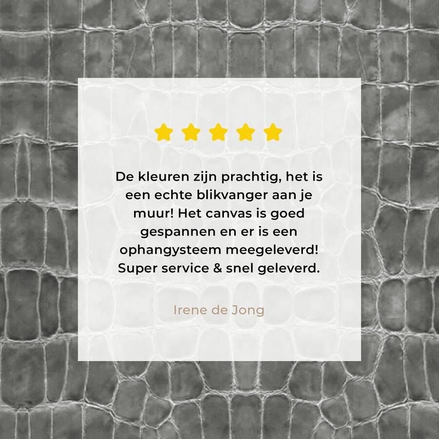 OneMillionCanvasses Canvas Schilderij Inductie beschermer Leer Structuur Dierenhuid 90x60 cm Wanddecoratie - Foto 3