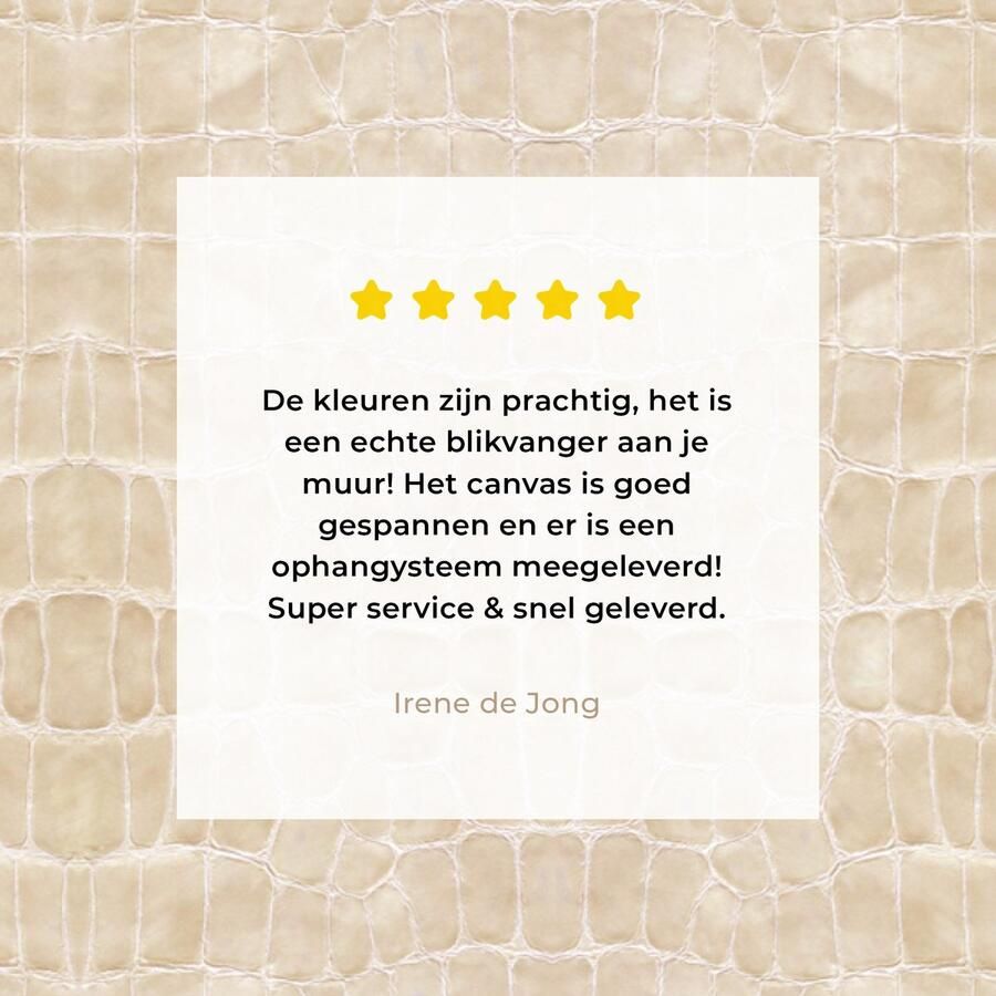 OneMillionCanvasses Canvas Schilderij Inductie beschermer Leer Structuur Dierenhuid 40x30 cm Wanddecoratie - Foto 5