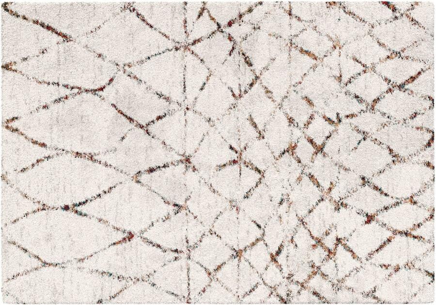 Oviala Rechthoekig hoogpolig vloerkleed met beige etnisch patroon 120x170 cm Asma