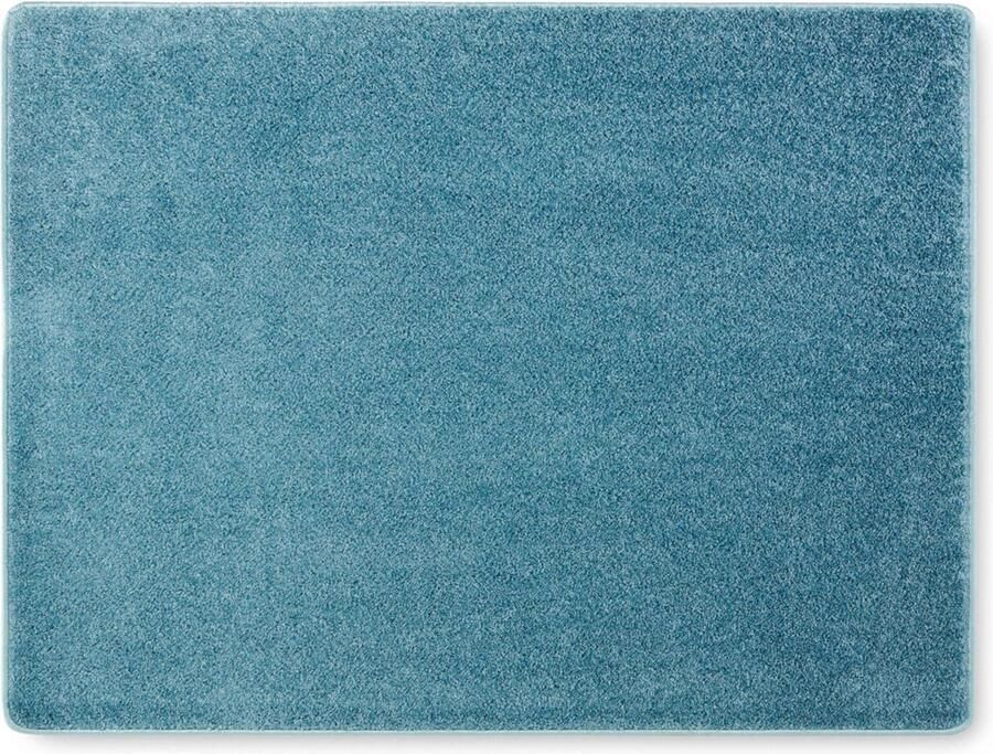 Oviala Rechthoekig tapijt van polypropyleen 200x290 cm blauw Lagom