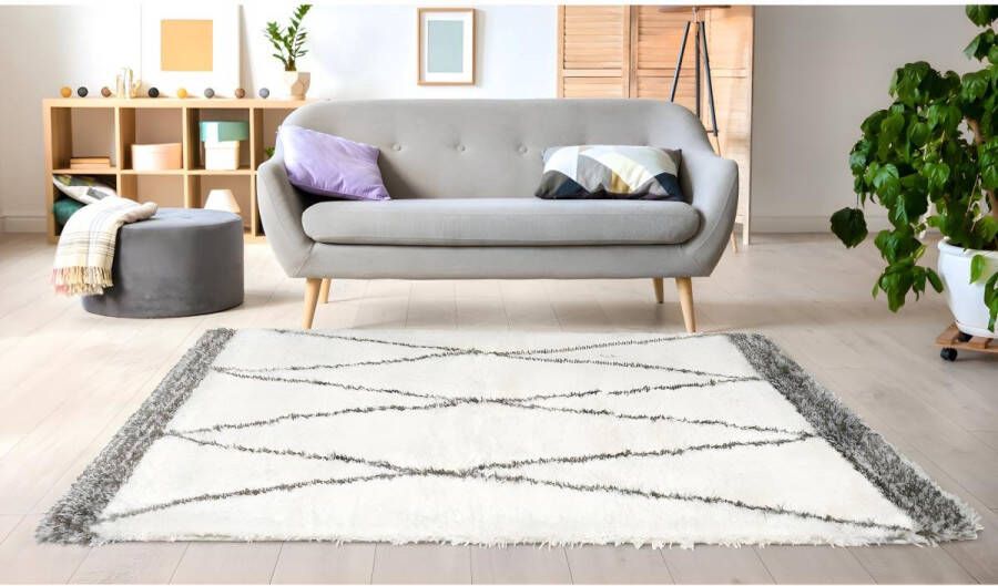 OZAIA Shaggy hoogpolig tapijt berberstijl HANIA Polyester 160 x 230 cm Beige en grijs L 230 cm x H 4.5 cm x D 160 cm - Foto 2