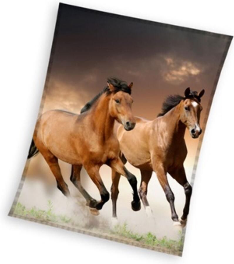 Paard fleece plaid deken 150x200cm Groot Duurzaam